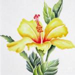 yellow-hibiscus-deborah