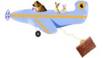 Dogs on planes.