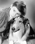 lasie & Roddy Mcdowel