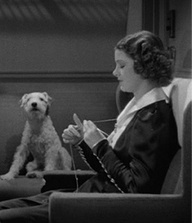 Astas knitting spree.