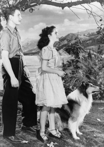Lassie & Liz 5