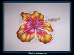 Hibiscus_Drawing_by_ritch_g