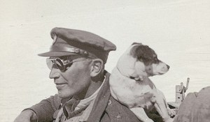 Jack Russel at war