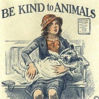 Be kind to animals