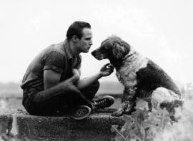 Brando & dog
