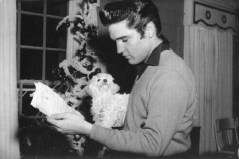 elvis and dog