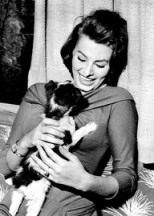 Sophia Loren & dog