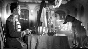 Film Ronde with Greyhound