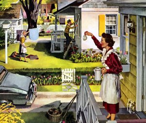 Aussie back yard 50s