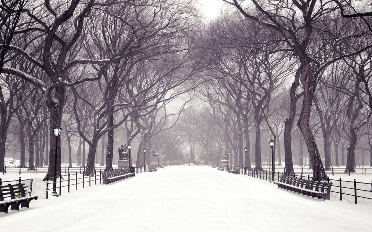 central park in snow