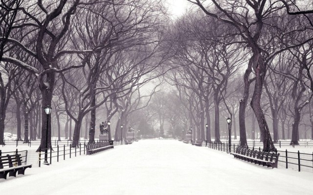 central park in snow